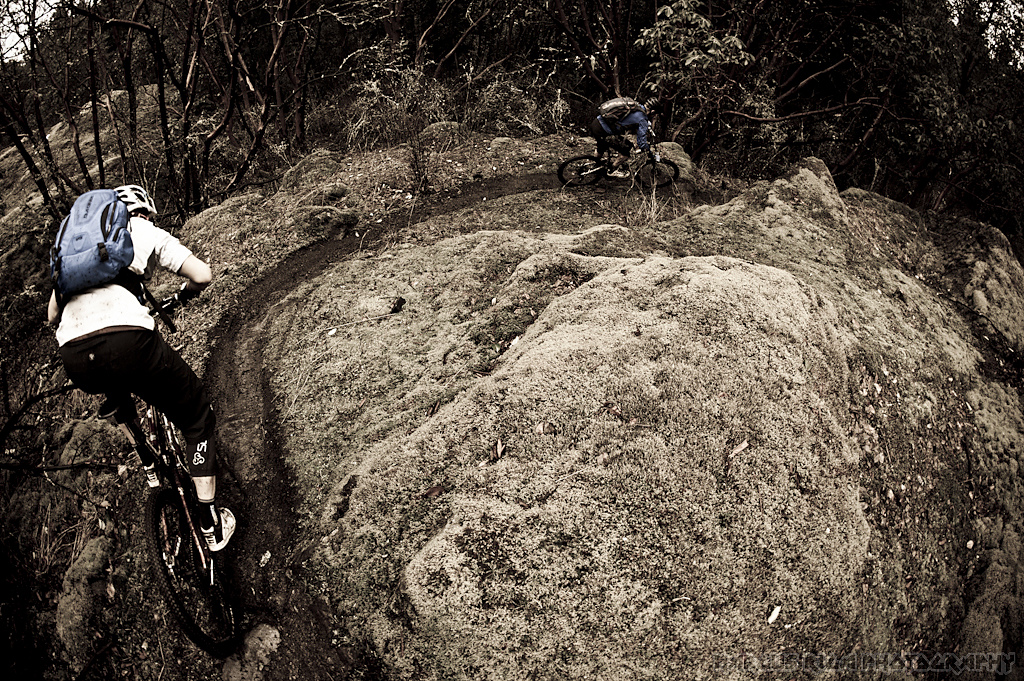 Much of the high, open terrain is covered in a spongy, green moss that has a perfect ribbon of dirt carved in for your riding pleasure.
