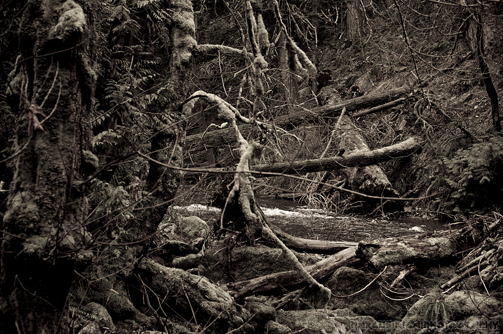 This is not in Sooke, but it is on the way to Sooke, and a great representation of what the Island is all about.
