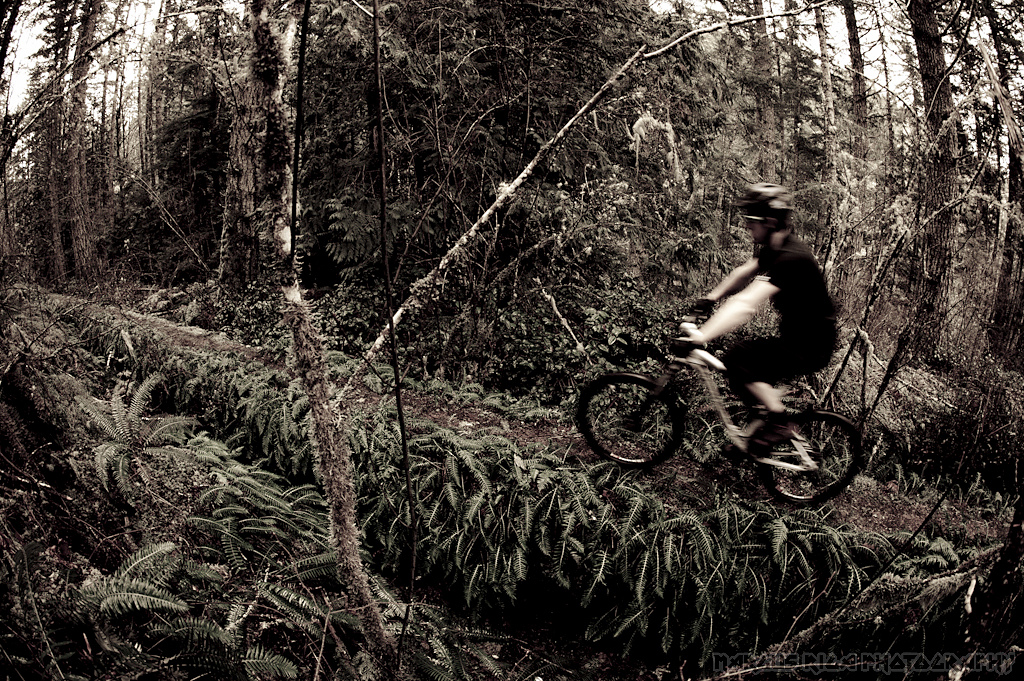 Sooke has some very different terrain. Like this moss and fern-encrusted, abandoned water pipeline that goes for forty-four kilometers. It used to be the pipeline that fed Victoria its water. Now it's just a really cool trail. 