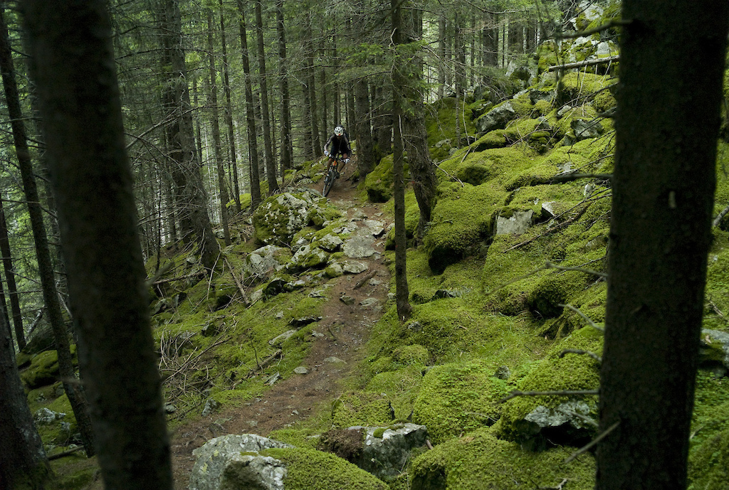 <span style='font-size:12px'>Fast undulating forest singletrack polished off day one with a well earned shot of adrenaline. Half an hour later we'd be enjoying the hospitality of Italian nuns.</span><br><br>The descent I have decided on is one that follows an ancient mule track historically used by smugglers and we set off from the Bernina Pass in high spirits, weaving our way down a stunning mountainside, before turning uphill again. Uphill? 'We should be on a descent, shouldn't we?' I ask rhetorically of Guillaume. We've gone wrong already, having missed one vital paint flecked rock that marks the trail. Fifteen minutes of backtracking puts us back en route and we ride a rollercoaster trail, in places paved with ancient slabs, into the Poschiavo valley.  To make our tour more manageable I've downloaded our day's routes from a mountainbike tour website (www.bike-gps.com), and have come armed with profiles, distances and 