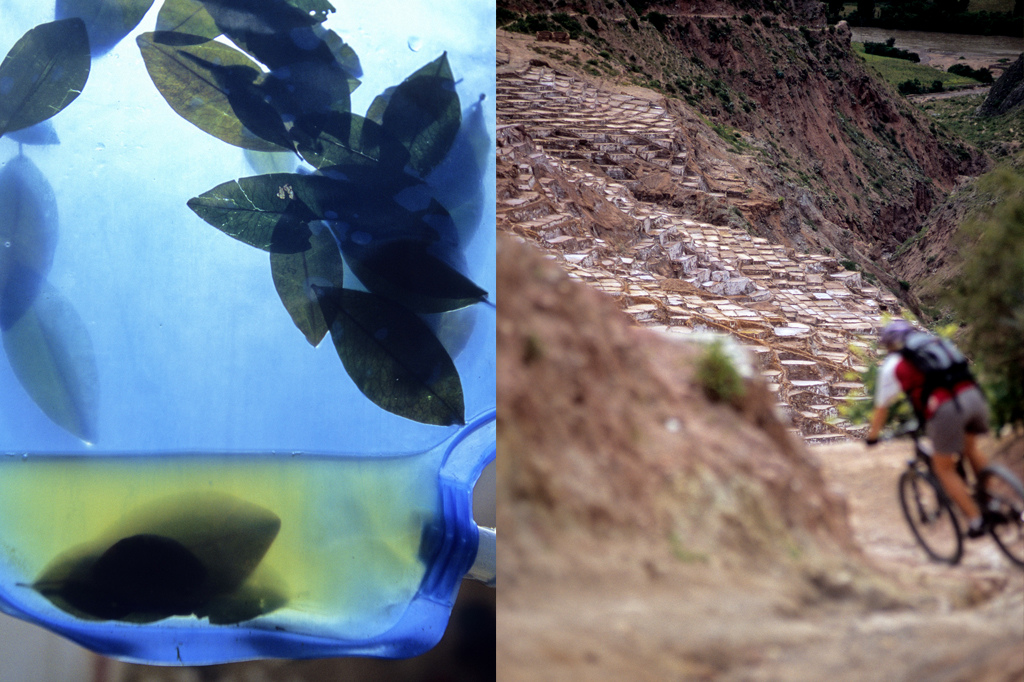 Locals use coca leaves to fight fatigue and elevation sickness by placing a bunch of leaves, with a lime finger paste, under their lips. Evidence shows that the people here in the Andes have been using it in this way for 8000 years. I wonder if anyone has ever placed them into a bladder?