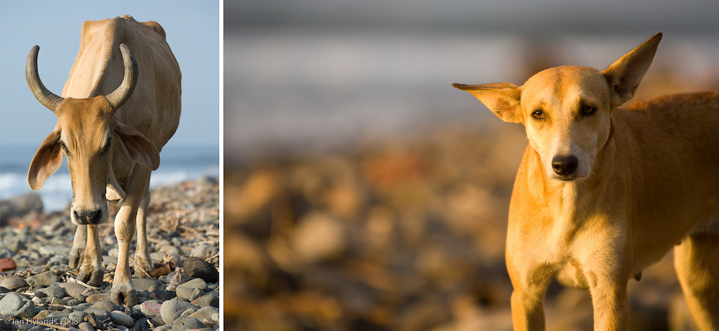 As with most Central American countries, one of the first evident things on our arrival in El Salvador was the huge contrast between the poverty of the people and the natural beauty of the country. People were extremely friendly and genuinely happy to see visitors though. El Salvador's tourism industry is on the rise and you can choose to vacation as cheaply or as extravagantly as you like, we chose to live on the cheap and we spent only about $150 each for the entire week including meals. Oh and beer was less than a buck.