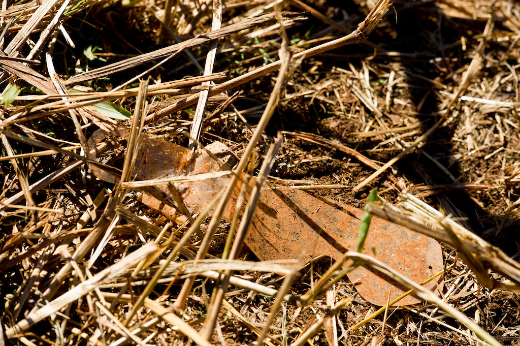 With blazing sun and temps in the 80s, it was definitely not a day for these.