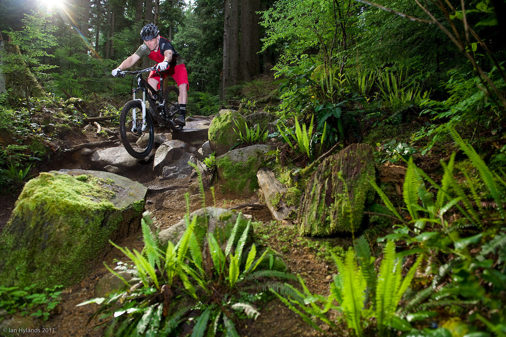 Curtis Keene s 12 Specialized Stumpjumper Carbon EVO