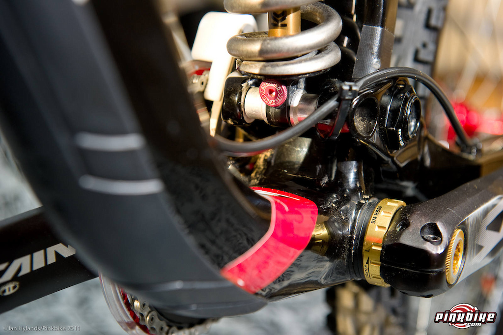 First photos from the Trek Carbon Session 9.9 http www.pinkbike.com news trek-session-carbon-9.9.html