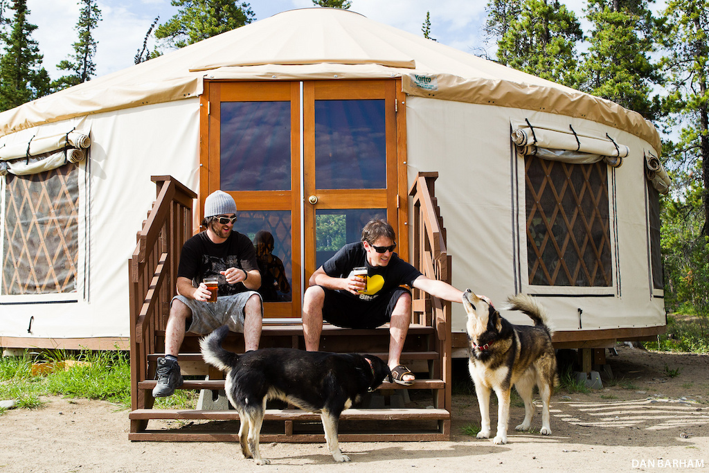 Scotch and Jack the fierce guard dogs of Yurtville. Dan Barham photo - www.danbarham.com