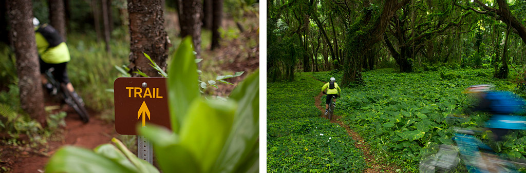 Trek C3 Team in Maui Hawaii 2011