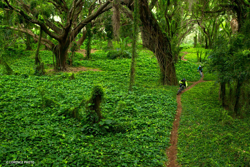 Trek C3 Team in Maui Hawaii 2011