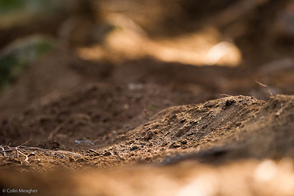 Rhe track surface is impeccible loamy duff at its finest.