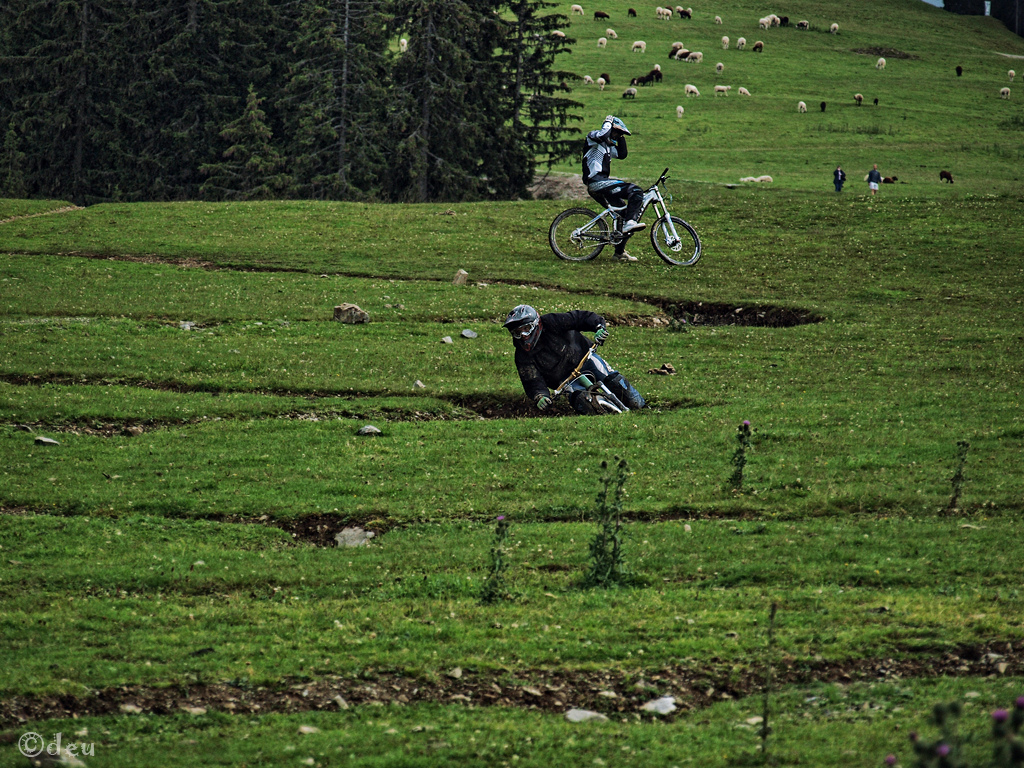 From trip to Austria