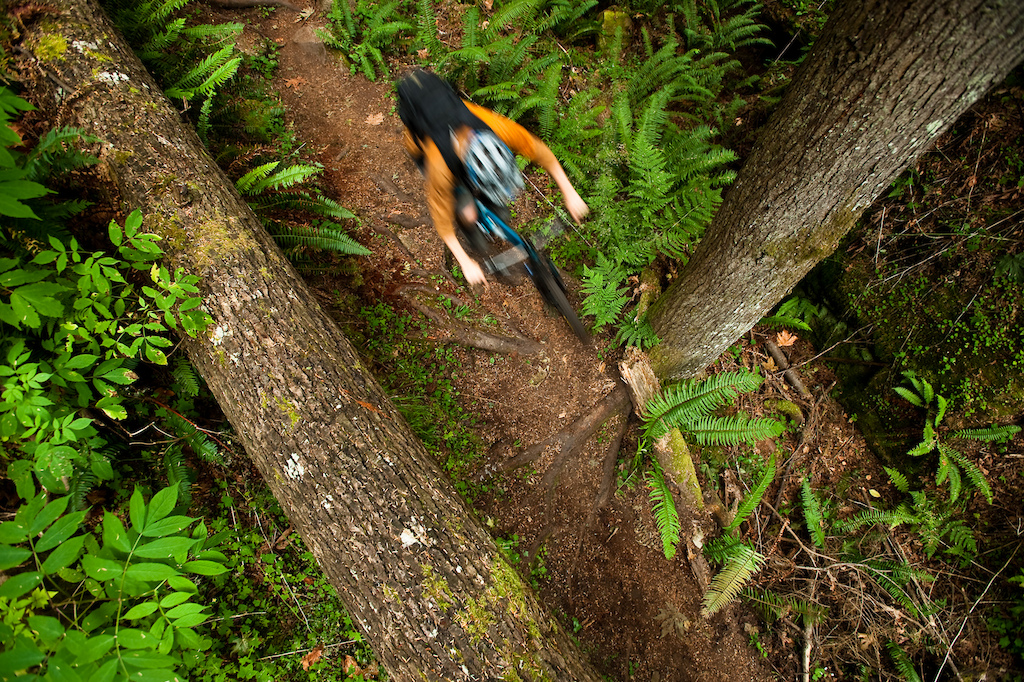 Cruising through the forest aboard the Chromag Aperture