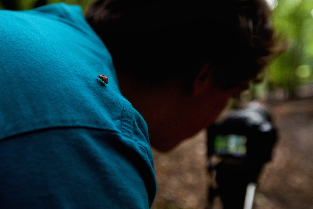 Nico so deep into his shot that he didn t notice this ladybird on his shoulder Photo by Szymon Nieborak delayedpleasure.com