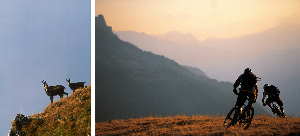 riding switzerland with big mountain adventures