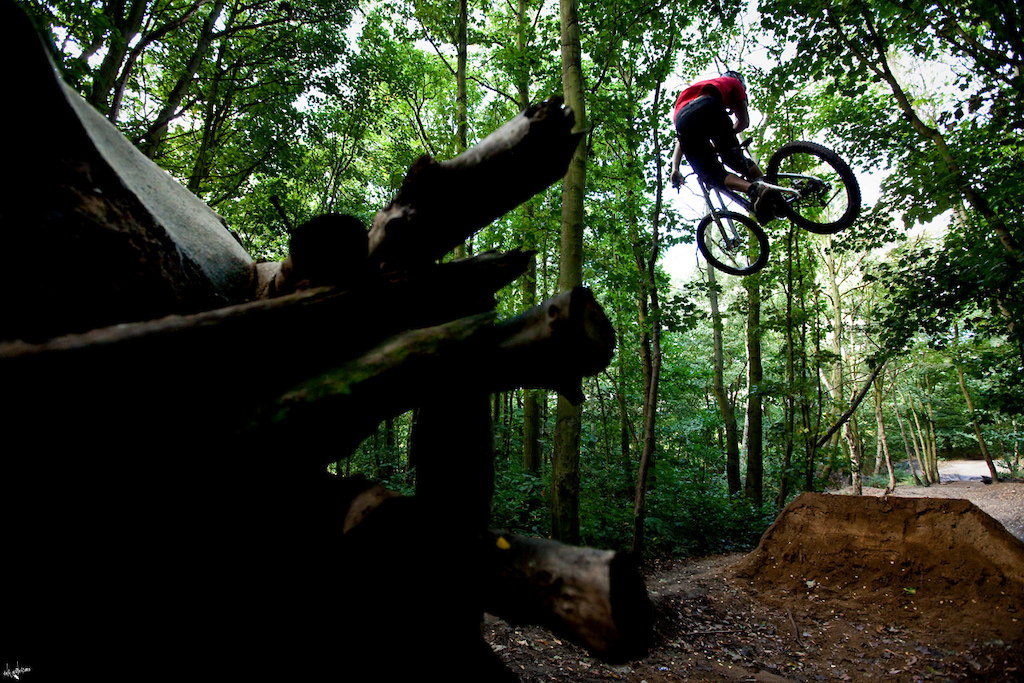 whip www.delayedpleasure.com