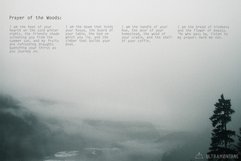Prayer of the Woods