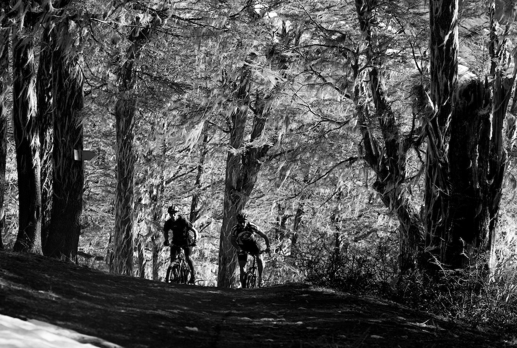 Lena trees strewn with moss make a stunning backdrop to having your ass kicked hard by the local XC riders. These guys are seriously fit. Photo by Dan Milner.