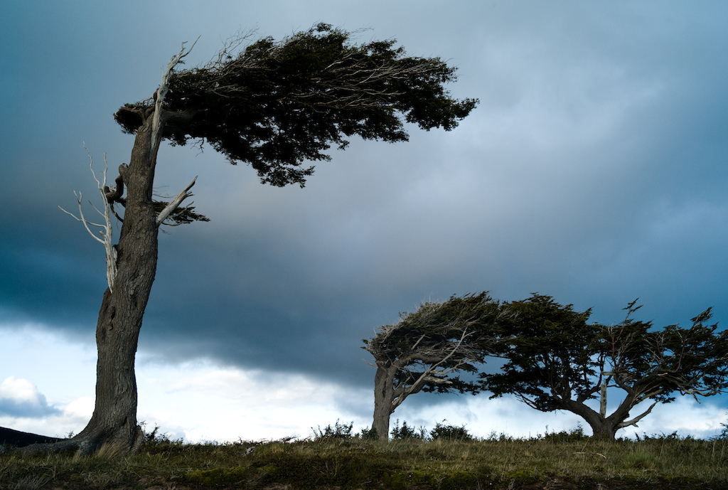 Tierra del Fuego is a place that gets windy. Riding here can be interesting. Photo by Dan Milner.