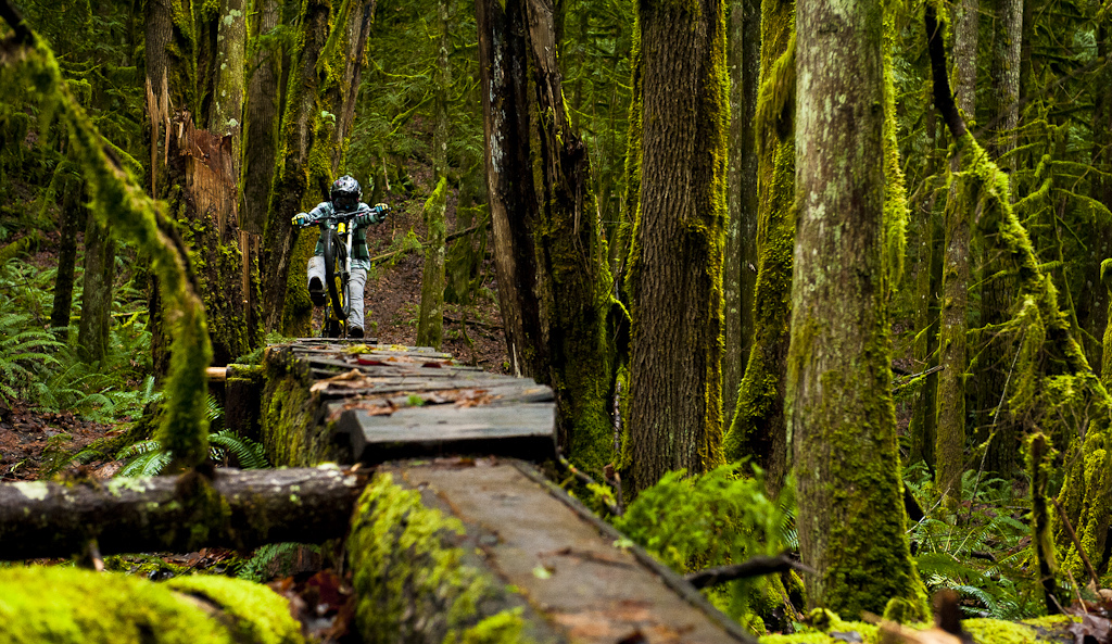 Salmon run - Paris Gore 2012