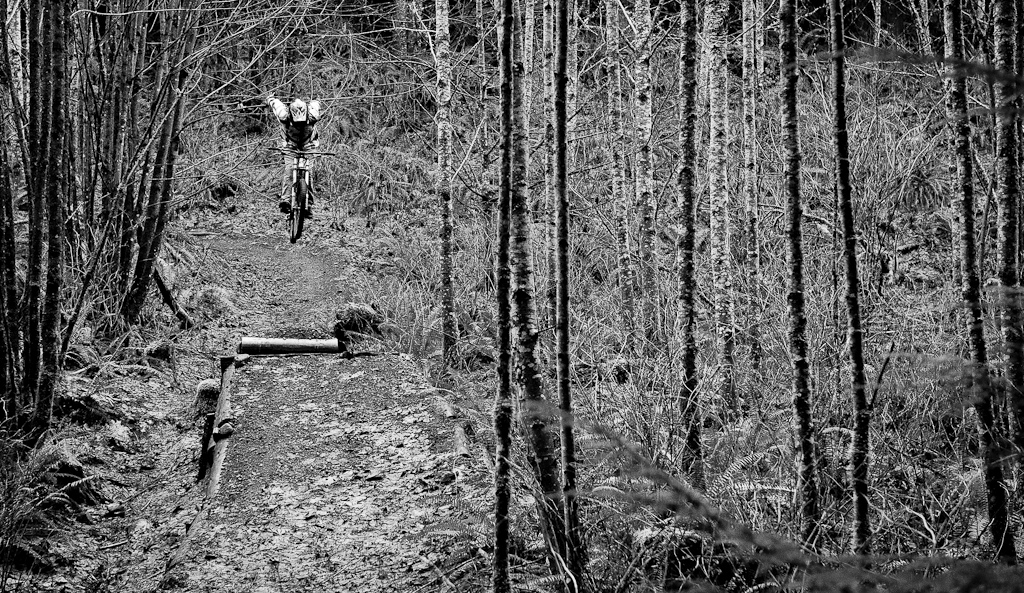 Salmon run - Paris Gore 2012