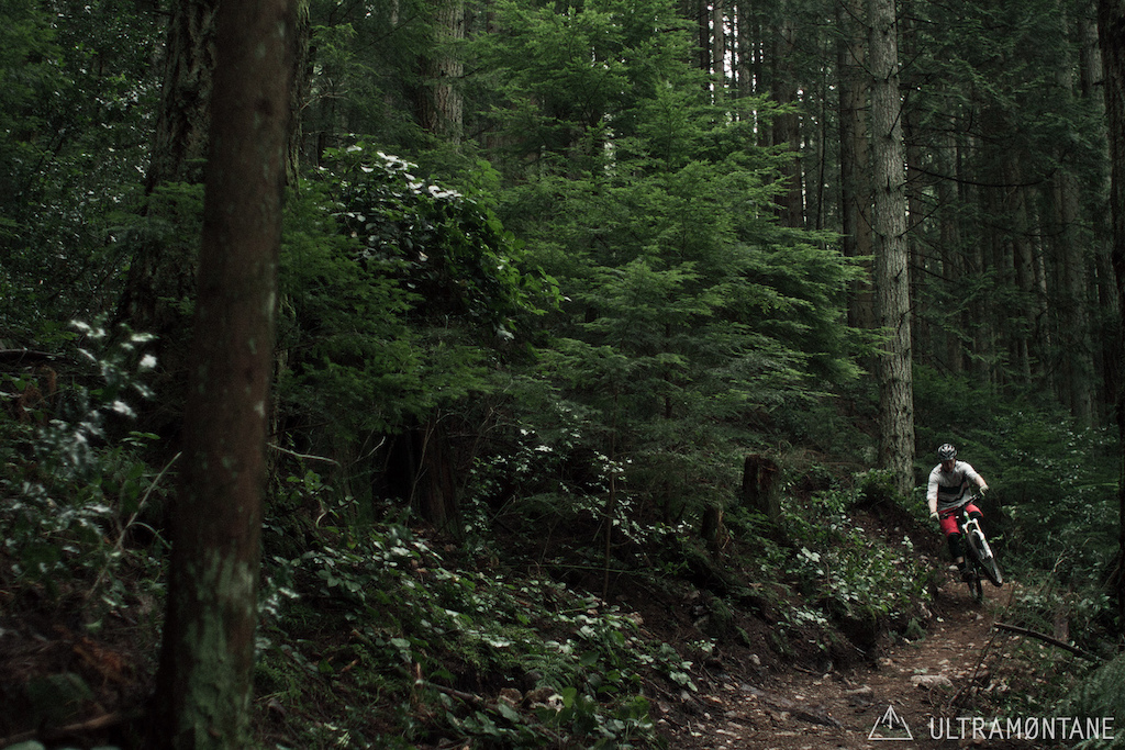 Manual out of a tight corner --- riding a pedal trail backwards.