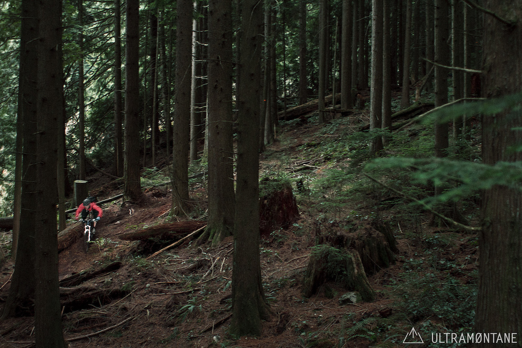 Moving through the woods at good speed.